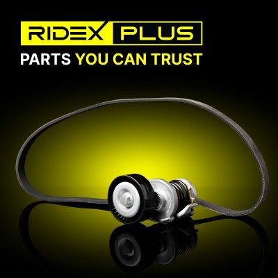 Zestaw paska klinowego wielorowkowego RIDEX 542R0498P 542R0498P - foto 13