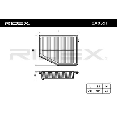 Filtr Powietrza RIDEX 8A0591 8A0591 - foto 6