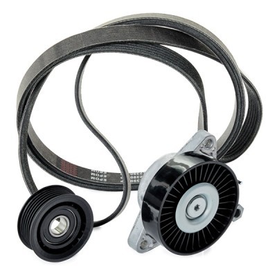 Zestaw paska klinowego wielorowkowego RIDEX 542R0498P 542R0498P - foto 3