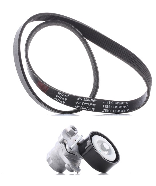 Zestaw paska klinowego wielorowkowego RIDEX 542R0463P 542R0463P - foto 1