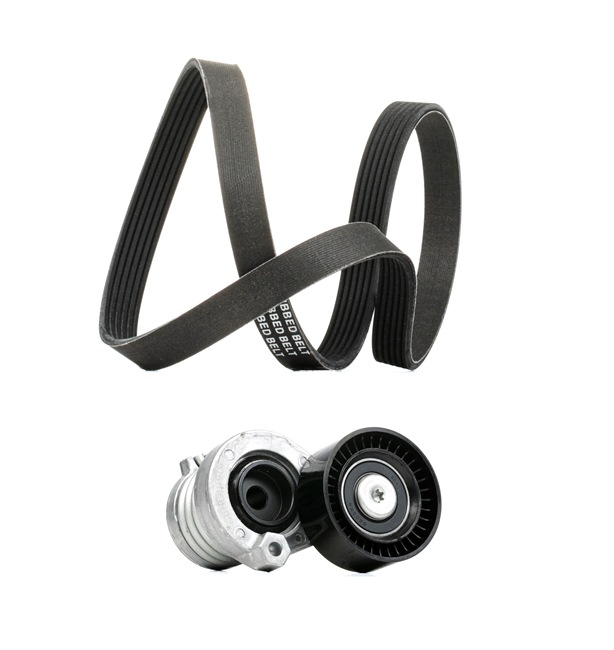 Zestaw paska klinowego wielorowkowego RIDEX 542R0108P 542R0108P - foto 1