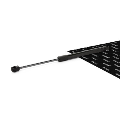 Siłowniki Maski i Klapympl Kpl RIDEX 514G0048 514G0048 - foto 1