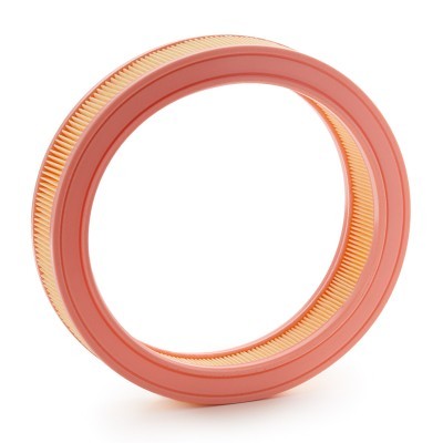 Filtr Powietrza RIDEX 8A0972 8A0972 - foto 4