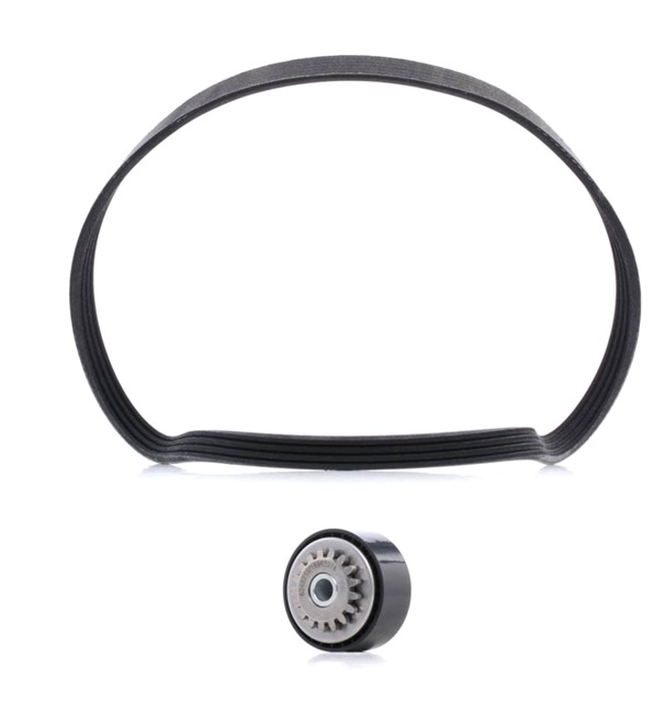 Zestaw paska klinowego wielorowkowego RIDEX 542R0497P 542R0497P - foto 1