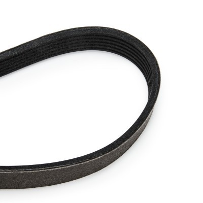Zestaw paska klinowego wielorowkowego RIDEX 542R0043P 542R0043P - foto 14