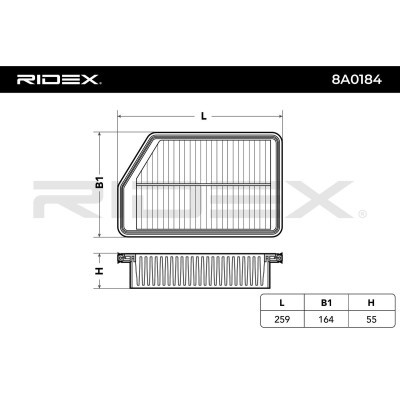 Filtr Powietrza RIDEX 8A0184 8A0184 - foto 3