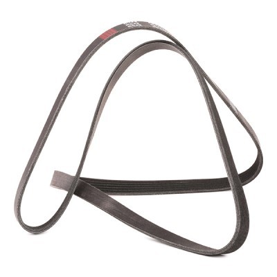 Pasek Klinowy Wielorowkowy RIDEX 305P0089P 305P0089P - foto 4