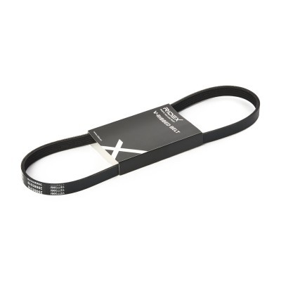 Pasek Klinowy Wielorowkowy RIDEX 305P0660 305P0660 - foto 2