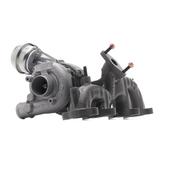 Turbina (Turbosprężarka) RIDEX 2234C10602R 2234C10602R - foto 1