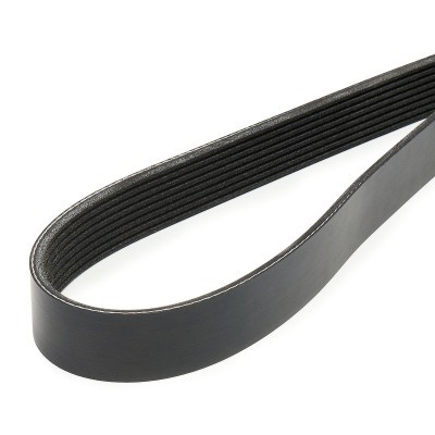 Pasek Klinowy Wielorowkowy RIDEX 305P0482 305P0482 - foto 4