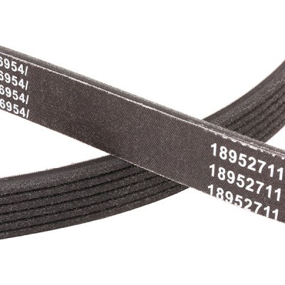 Pasek Klinowy Wielorowkowy RIDEX 305P0250P 305P0250P - foto 5
