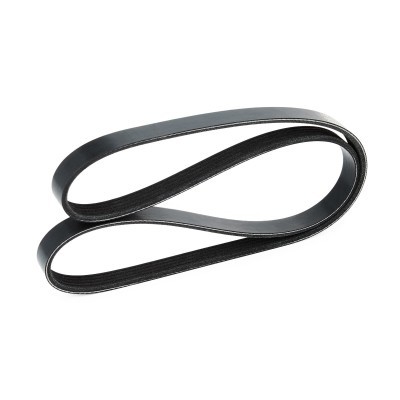 Pasek Klinowy Wielorowkowy RIDEX 305P0249 305P0249 - foto 4