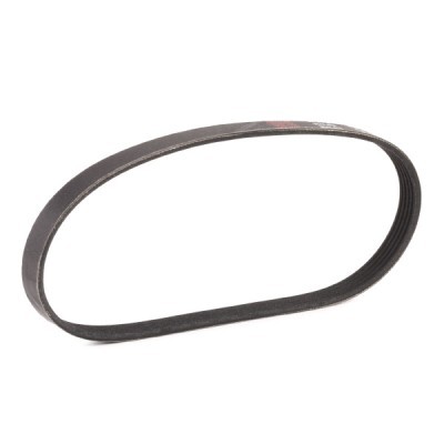 Pasek Klinowy Wielorowkowy RIDEX 305P0117P 305P0117P - foto 3