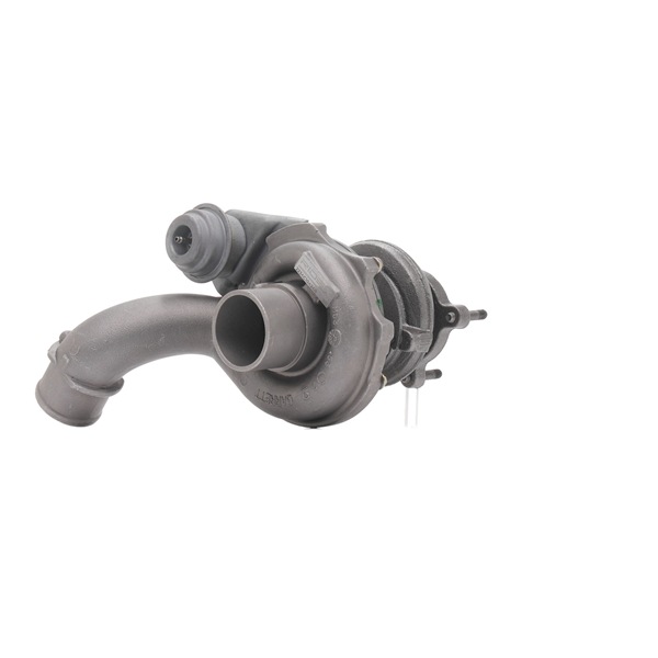 Turbina (Turbosprężarka) RIDEX 2234C10424R 2234C10424R - foto 1