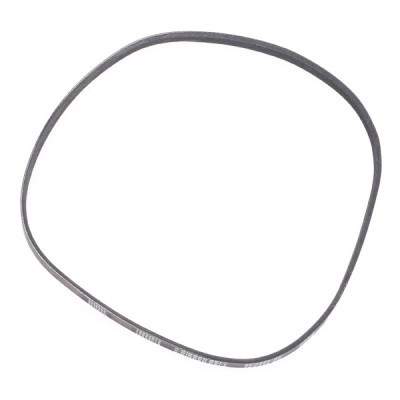 Pasek Klinowy Wielorowkowy RIDEX 305P0148P 305P0148P - foto 4