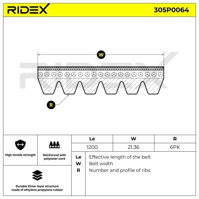 Pasek Klinowy Wielorowkowy RIDEX 305P0064 305P0064 - foto 4