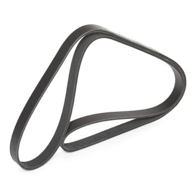 Pasek Klinowy Wielorowkowy RIDEX 305P0079P 305P0079P - foto 3