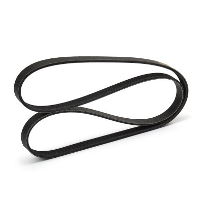 Pasek Klinowy Wielorowkowy RIDEX 305P0040P 305P0040P - foto 8