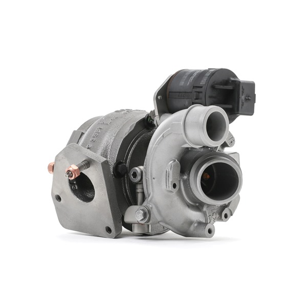 Turbina (Turbosprężarka) RIDEX 2234C10208R 2234C10208R - foto 1