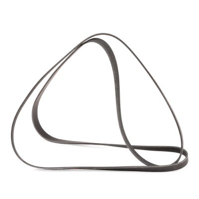 Pasek Klinowy Wielorowkowy RIDEX 305P0101P 305P0101P - foto 3
