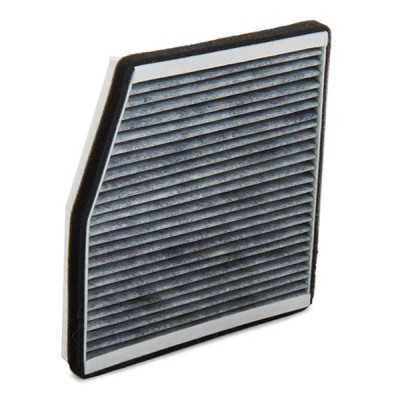 Filtr Kabinowy RIDEX 424I0198 424I0198 - foto 4