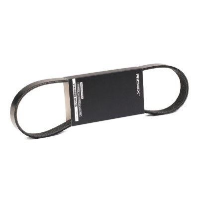 Pasek Klinowy Wielorowkowy RIDEX 305P0192 305P0192 - foto 2