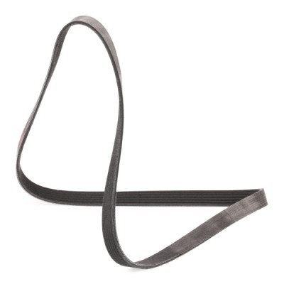 Pasek Klinowy Wielorowkowy RIDEX 305P0393P 305P0393P - foto 3
