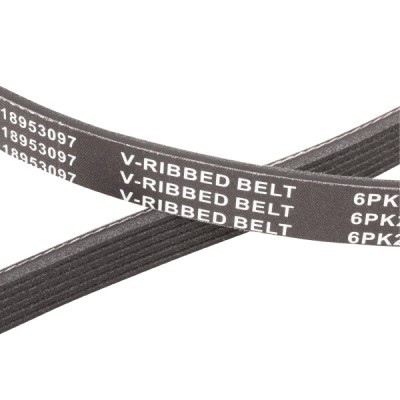 Pasek Klinowy Wielorowkowy RIDEX 305P0180P 305P0180P - foto 5