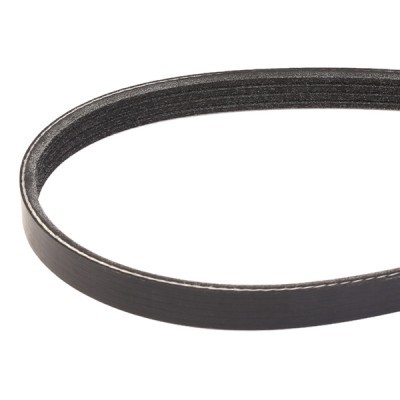 Pasek Klinowy Wielorowkowy RIDEX 305P0434 305P0434 - foto 3