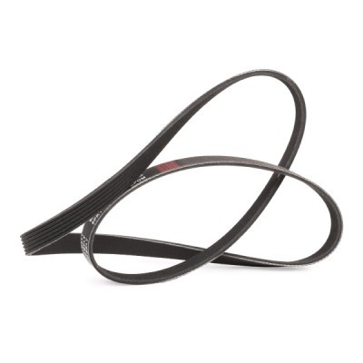 Pasek Klinowy Wielorowkowy RIDEX 305P0144P 305P0144P - foto 3