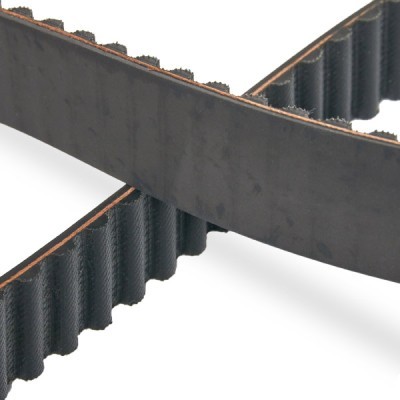Pasek Rozrządu RIDEX 306T0008P 306T0008P - foto 5