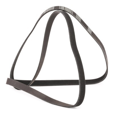 Pasek Klinowy Wielorowkowy RIDEX 305P0243P 305P0243P - foto 3