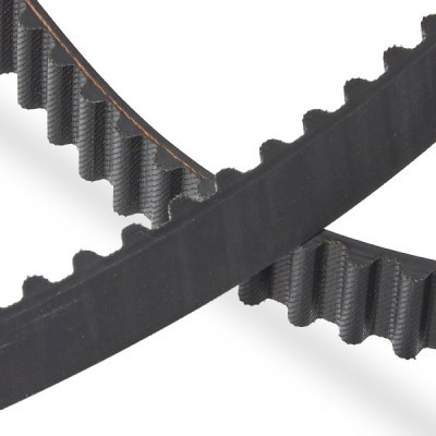 Pasek Rozrządu RIDEX 306T0007P 306T0007P - foto 5