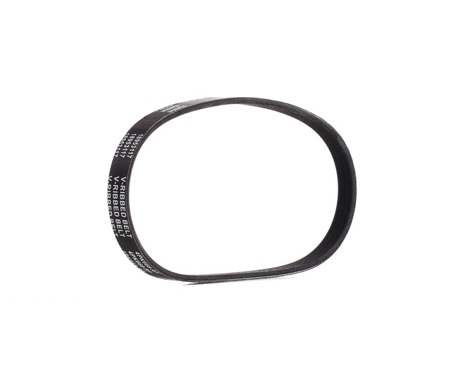 Pasek Klinowy Wielorowkowy RIDEX 305P0502P 305P0502P - foto 1