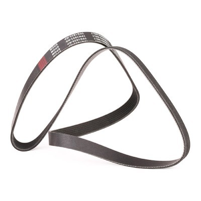 Pasek Klinowy Wielorowkowy RIDEX 305P0237P 305P0237P - foto 3