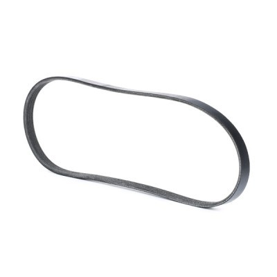 Pasek Klinowy Wielorowkowy RIDEX 305P0017 305P0017 - foto 3