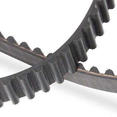 Pasek Rozrządu RIDEX 306T0046P 306T0046P - foto 5