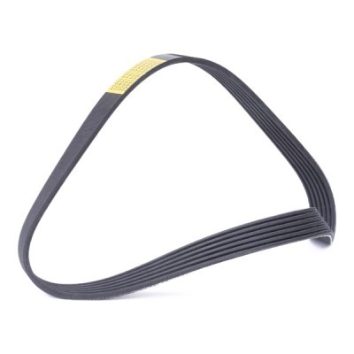 Pasek Klinowy Wielorowkowy RIDEX 305P0520 305P0520 - foto 3