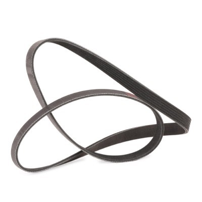 Pasek Klinowy Wielorowkowy RIDEX 305P0179P 305P0179P - foto 3