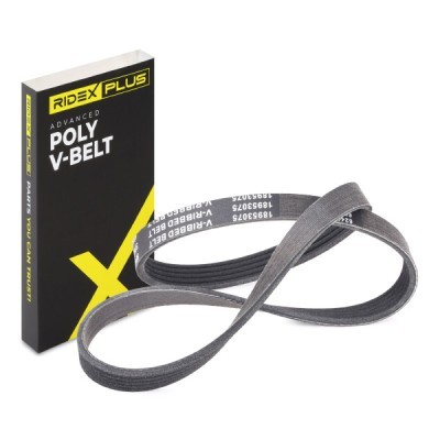 Pasek Klinowy Wielorowkowy RIDEX 305P0148P 305P0148P - foto 2