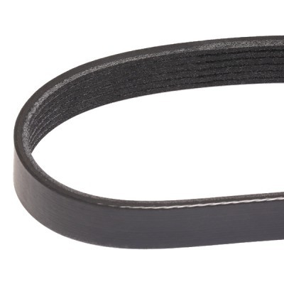 Pasek Klinowy Wielorowkowy RIDEX 305P0105 305P0105 - foto 3