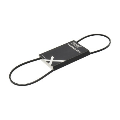 Pasek Klinowy Wielorowkowy RIDEX 305P0335 305P0335 - foto 1
