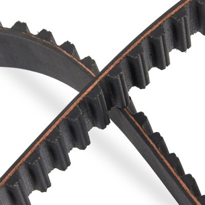 Pasek Rozrządu RIDEX 306T0019P 306T0019P - foto 5