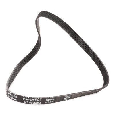Pasek Klinowy Wielorowkowy RIDEX 305P0152P 305P0152P - foto 3