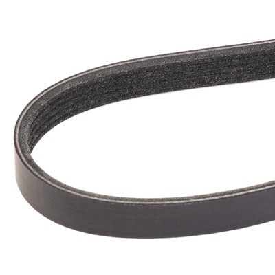 Pasek Klinowy Wielorowkowy RIDEX 305P0159 305P0159 - foto 3