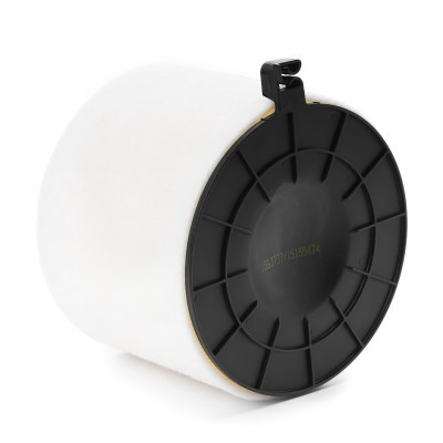 Filtr Powietrza RIDEX 8A1434 8A1434 - foto 4