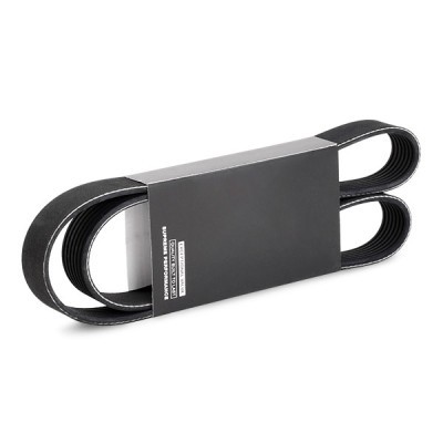 Pasek Klinowy Wielorowkowy RIDEX 305P0489 305P0489 - foto 2