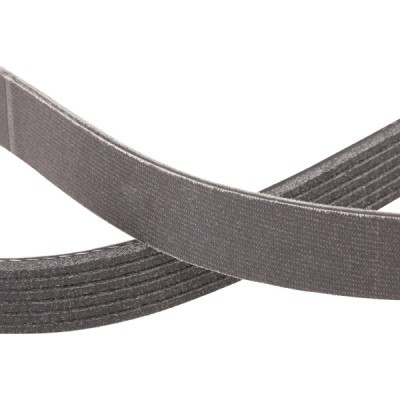 Pasek Klinowy Wielorowkowy RIDEX 305P0101P 305P0101P - foto 5