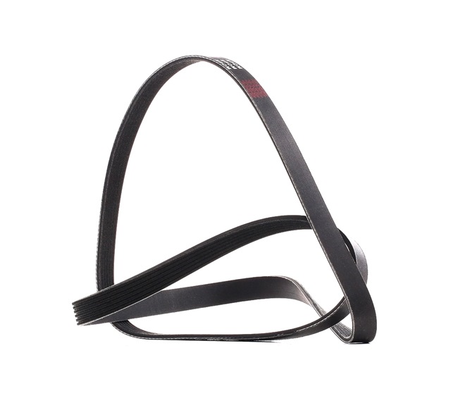 Pasek Klinowy Wielorowkowy RIDEX 305P0181P 305P0181P - foto 1
