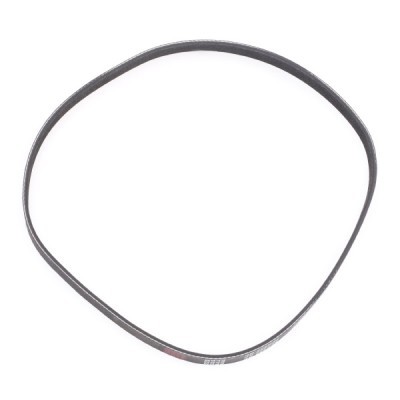 Pasek Klinowy Wielorowkowy RIDEX 305P0048P 305P0048P - foto 4